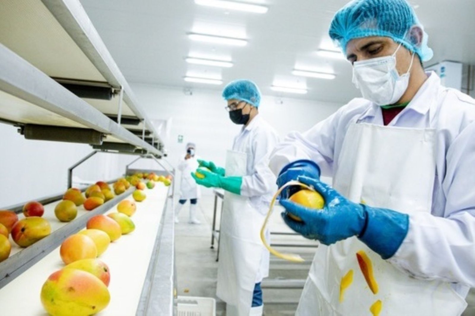 Equipo Frutalia en campo