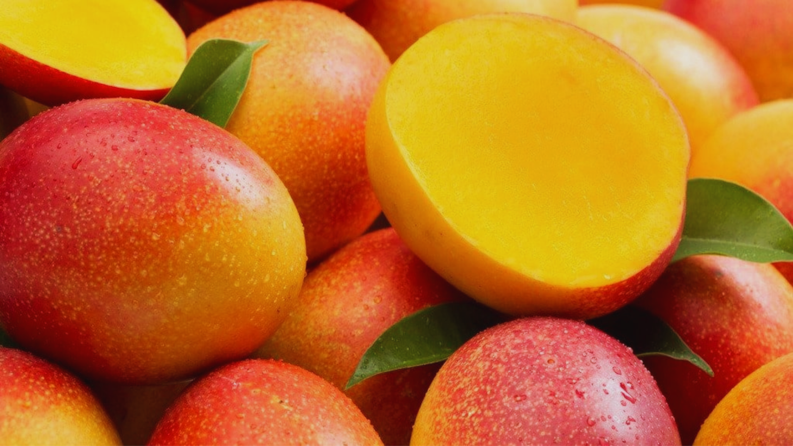 Procesos centrados en calidad